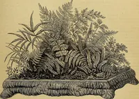 Picture 130 of 665 from The Popular recreator. A key to in-door and out-door amusements .. (1873), leaf 134
