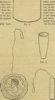 Picture 157 of 665 from The Popular recreator. A key to in-door and out-door amusements .. (1873), leaf 154