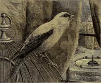 Picture 168 of 665 from The Popular recreator. A key to in-door and out-door amusements .. (1873), leaf 166