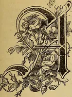 Picture 170 of 665 from The Popular recreator. A key to in-door and out-door amusements .. (1873), leaf 172