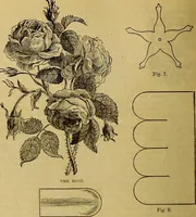 Picture 171 of 665 from The Popular recreator. A key to in-door and out-door amusements .. (1873), leaf 173