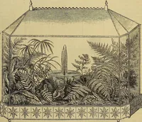 Picture 180 of 665 from The Popular recreator. A key to in-door and out-door amusements .. (1873), leaf 182
