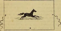 Picture 185 of 665 from The Popular recreator. A key to in-door and out-door amusements .. (1873), leaf 185