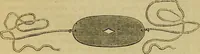 Picture 187 of 665 from The Popular recreator. A key to in-door and out-door amusements .. (1873), leaf 185