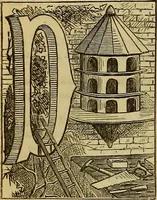 Picture 194 of 665 from The Popular recreator. A key to in-door and out-door amusements .. (1873), leaf 195
