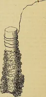 Picture 216 of 665 from The Popular recreator. A key to in-door and out-door amusements .. (1873), leaf 214