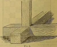 Picture 244 of 665 from The Popular recreator. A key to in-door and out-door amusements .. (1873), leaf 245