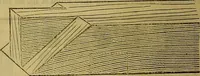 Picture 245 of 665 from The Popular recreator. A key to in-door and out-door amusements .. (1873), leaf 245