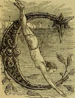 Picture 14 of 665 from The Popular recreator. A key to in-door and out-door amusements .. (1873), leaf 25