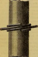 Picture 265 of 665 from The Popular recreator. A key to in-door and out-door amusements .. (1873), leaf 269