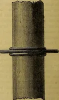 Picture 266 of 665 from The Popular recreator. A key to in-door and out-door amusements .. (1873), leaf 269