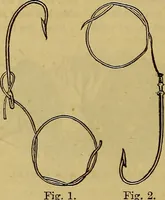 Picture 276 of 665 from The Popular recreator. A key to in-door and out-door amusements .. (1873), leaf 281