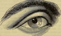 Picture 20 of 665 from The Popular recreator. A key to in-door and out-door amusements .. (1873), leaf 30