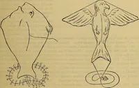 Picture 291 of 665 from The Popular recreator. A key to in-door and out-door amusements .. (1873), leaf 302