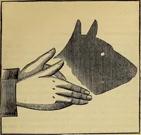 Picture 324 of 665 from The Popular recreator. A key to in-door and out-door amusements .. (1873), leaf 342