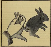 Picture 326 of 665 from The Popular recreator. A key to in-door and out-door amusements .. (1873), leaf 342