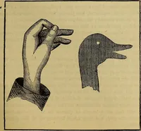 Picture 328 of 665 from The Popular recreator. A key to in-door and out-door amusements .. (1873), leaf 342