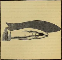 Picture 329 of 665 from The Popular recreator. A key to in-door and out-door amusements .. (1873), leaf 342