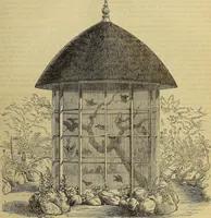 Picture 333 of 665 from The Popular recreator. A key to in-door and out-door amusements .. (1873), leaf 350