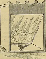 Picture 334 of 665 from The Popular recreator. A key to in-door and out-door amusements .. (1873), leaf 352
