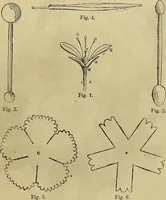 Picture 23 of 665 from The Popular recreator. A key to in-door and out-door amusements .. (1873), leaf 36