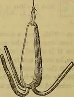 Picture 342 of 665 from The Popular recreator. A key to in-door and out-door amusements .. (1873), leaf 363