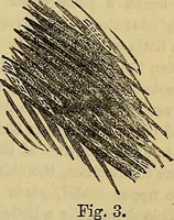 Picture 353 of 665 from The Popular recreator. A key to in-door and out-door amusements .. (1873), leaf 378