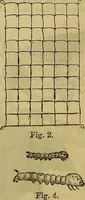 Picture 357 of 665 from The Popular recreator. A key to in-door and out-door amusements .. (1873), leaf 383
