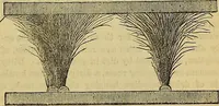 Picture 361 of 665 from The Popular recreator. A key to in-door and out-door amusements .. (1873), leaf 384