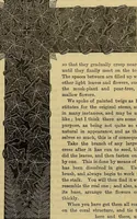 Picture 398 of 665 from The Popular recreator. A key to in-door and out-door amusements .. (1873), leaf 430