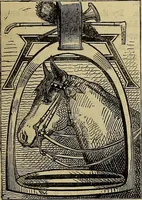 Picture 427 of 665 from The Popular recreator. A key to in-door and out-door amusements .. (1873), leaf 464