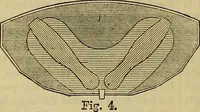 Picture 443 of 665 from The Popular recreator. A key to in-door and out-door amusements .. (1873), leaf 477