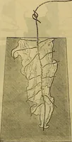 Picture 445 of 665 from The Popular recreator. A key to in-door and out-door amusements .. (1873), leaf 479