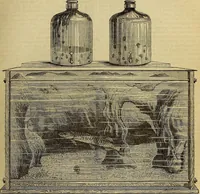 Picture 462 of 665 from The Popular recreator. A key to in-door and out-door amusements .. (1873), leaf 510