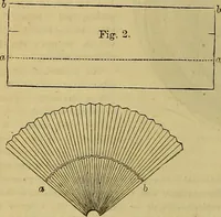 Picture 506 of 665 from The Popular recreator. A key to in-door and out-door amusements .. (1873), leaf 577
