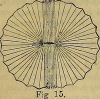 Picture 511 of 665 from The Popular recreator. A key to in-door and out-door amusements .. (1873), leaf 578