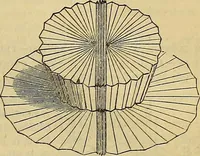 Picture 513 of 665 from The Popular recreator. A key to in-door and out-door amusements .. (1873), leaf 578