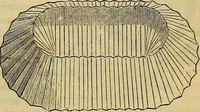 Picture 514 of 665 from The Popular recreator. A key to in-door and out-door amusements .. (1873), leaf 578