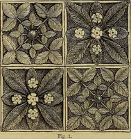 Picture 520 of 665 from The Popular recreator. A key to in-door and out-door amusements .. (1873), leaf 585