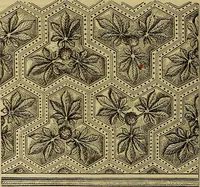 Picture 521 of 665 from The Popular recreator. A key to in-door and out-door amusements .. (1873), leaf 585