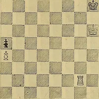 Picture 535 of 665 from The Popular recreator. A key to in-door and out-door amusements .. (1873), leaf 608