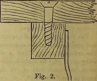 Picture 551 of 665 from The Popular recreator. A key to in-door and out-door amusements .. (1873), leaf 625