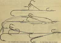 Picture 565 of 665 from The Popular recreator. A key to in-door and out-door amusements .. (1873), leaf 640