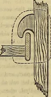Picture 567 of 665 from The Popular recreator. A key to in-door and out-door amusements .. (1873), leaf 642