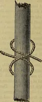 Picture 576 of 665 from The Popular recreator. A key to in-door and out-door amusements .. (1873), leaf 653