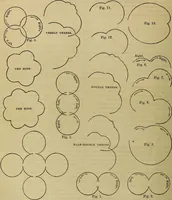 Picture 595 of 665 from The Popular recreator. A key to in-door and out-door amusements .. (1873), leaf 685