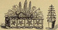 Picture 61 of 665 from The Popular recreator. A key to in-door and out-door amusements .. (1873), leaf 70