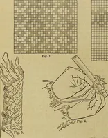 An illustration from The Popular recreator. A key to in-door and out-door amusements .. (1873)