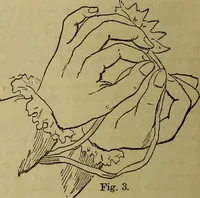 An illustration from The Popular recreator. A key to in-door and out-door amusements .. (1873)