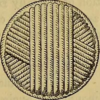 An illustration from The Popular recreator. A key to in-door and out-door amusements .. (1873)